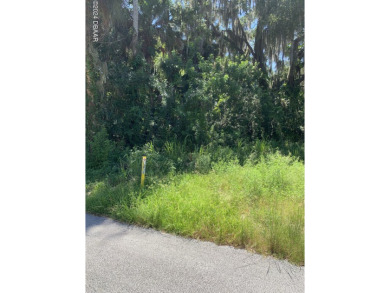 Beach Lot Sale Pending in New Smyrna Beach, Florida