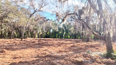 Beach Lot For Sale in North Fort Myers, Florida