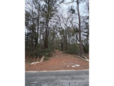 Beach Lot For Sale in Bluffton, South Carolina