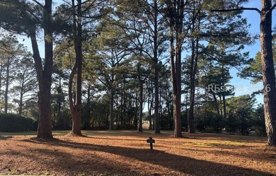 Beach Lot For Sale in Bluffton, South Carolina