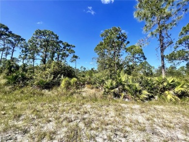Beach Lot For Sale in Punta Gorda, Florida