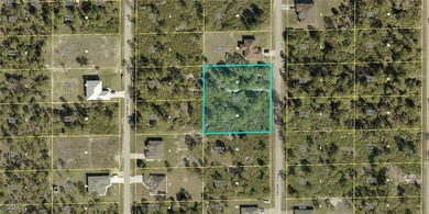 Beach Lot For Sale in Lehigh Acres, Florida