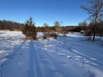 Beach Acreage For Sale in Osseo, Michigan