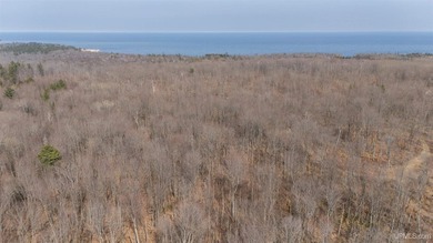 Beach Acreage Active Under Contract in Manistique, Michigan