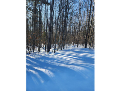 Beach Lot For Sale in Onekama, Michigan