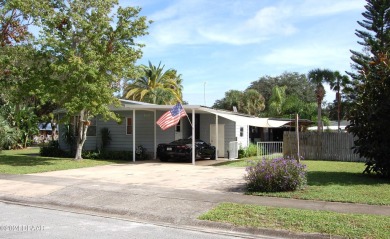 Beach Home For Sale in New Smyrna Beach, Florida