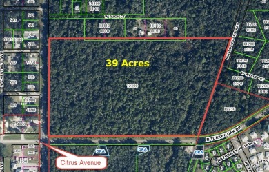 Beach Acreage Sale Pending in Crystal River, Florida