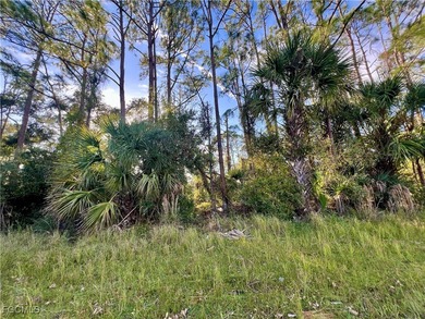 Beach Lot For Sale in North Port, Florida
