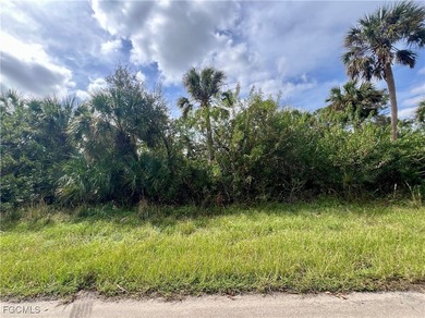 Beach Lot For Sale in Port Charlotte, Florida