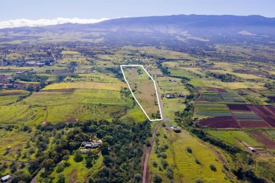 Beach Acreage For Sale in Kula, Hawaii