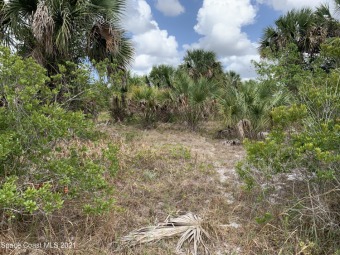 Beach Lot Off Market in Palm Bay, Florida