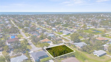Beach Lot For Sale in Venice, Florida