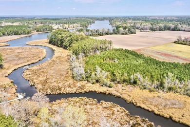 Beach Acreage For Sale in Havelock, North Carolina