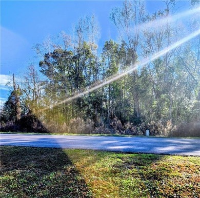 Beach Lot For Sale in Mobile, AL