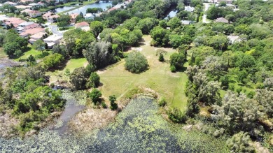 Beach Lot For Sale in Clearwater, Florida