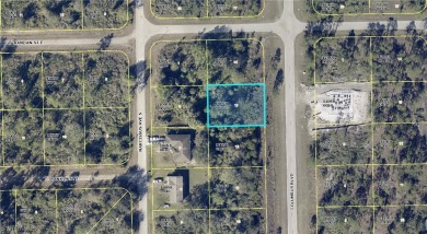 Beach Lot Sale Pending in Lehigh Acres, Florida