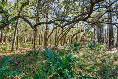 Beach Lot Active Under Contract in Bluffton, South Carolina