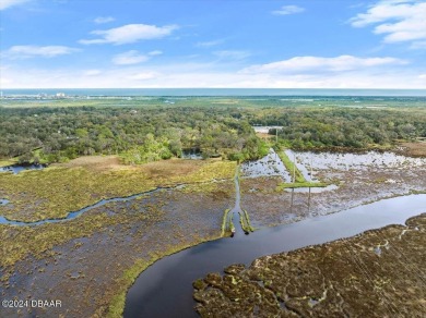 Beach Acreage For Sale in Flagler Beach, Florida