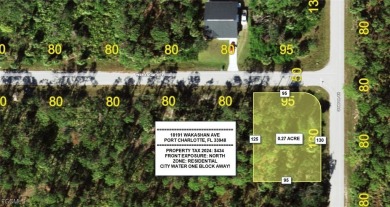 Beach Lot For Sale in Port Charlotte, Florida