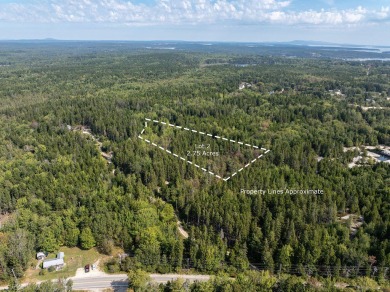 Beach Acreage For Sale in Stonington, Maine