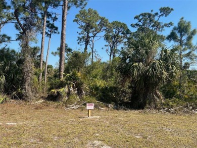 Beach Lot For Sale in Punta Gorda, Florida
