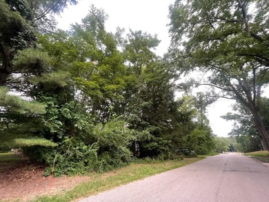 Beach Lot For Sale in New Buffalo, Michigan