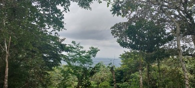 Beach Lot For Sale in Panama City, 