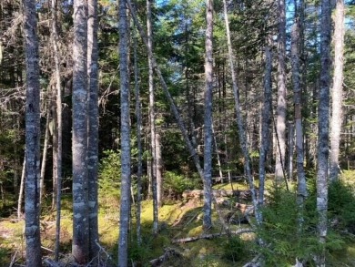 Beach Acreage For Sale in Blue Hill, Maine