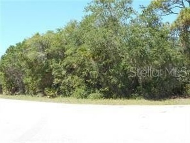 Beach Lot For Sale in North Port, Florida