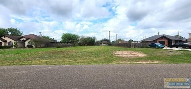 Beach Lot For Sale in Laguna Vista, Texas