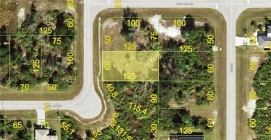 Beach Lot For Sale in Rotonda West, Florida