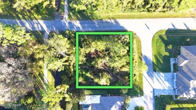 Beach Lot For Sale in Palm Coast, Florida