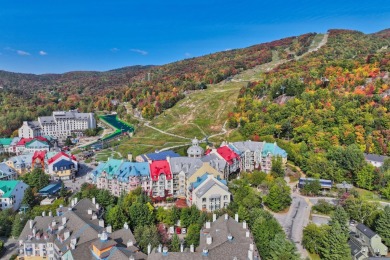 Beach Condo For Sale in Mont-Tremblant, 