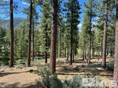 Beach Acreage For Sale in Carson City, Nevada