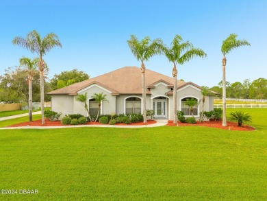 Beach Home For Sale in Ormond Beach, Florida