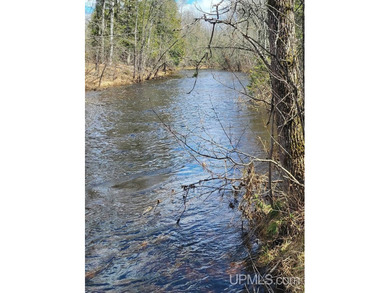 Beach Acreage For Sale in Hardwood, Michigan