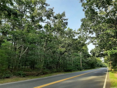 Beach Acreage For Sale in East Quogue, New York