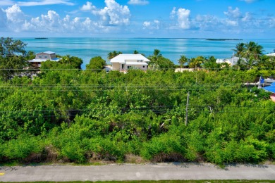 Beach Lot For Sale in Summerland Key, Florida