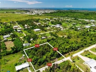 Beach Lot For Sale in St. James City, Florida