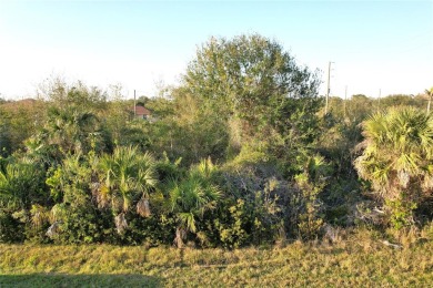 Beach Lot For Sale in Port Charlotte, Florida
