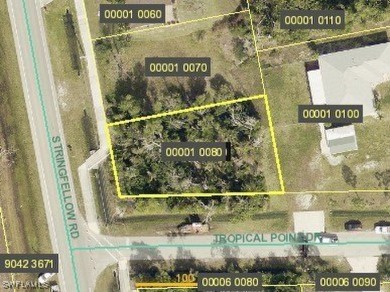 Beach Lot For Sale in St. James City, Florida