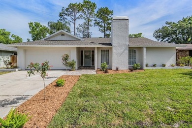 Beach Home For Sale in Tampa, Florida