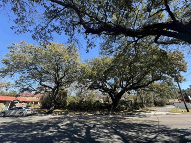 Beach Commercial For Sale in Georgetown, South Carolina