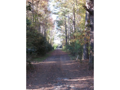 Beach Acreage Off Market in Seaford, Virginia