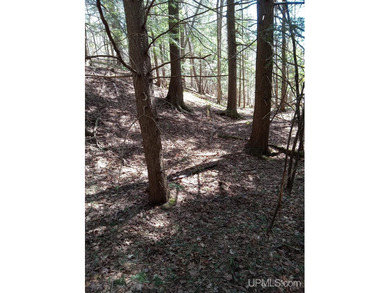 Beach Acreage For Sale in Ontonagon, Michigan