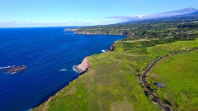 Beach Acreage For Sale in Haiku, Hawaii