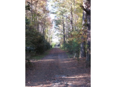 Beach Lot For Sale in Seaford, Virginia