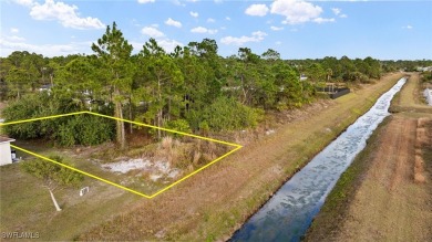 Beach Lot For Sale in Lehigh Acres, Florida