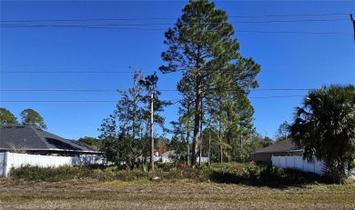 Beach Lot For Sale in Palm Coast, Florida