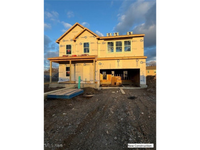 Beach Home For Sale in Vermilion, Ohio